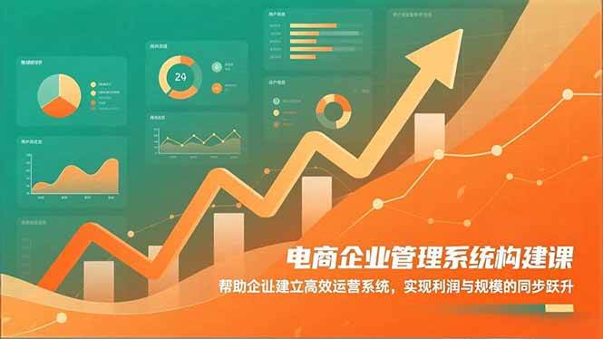 (16643期)电商企业管理系统构建课:帮助企业建立高效运营系统,实现利润与规模的同步跃升 电商企业管理系统构建课:帮助企业建立高效运营系统,实现利润与规模的同步跃升