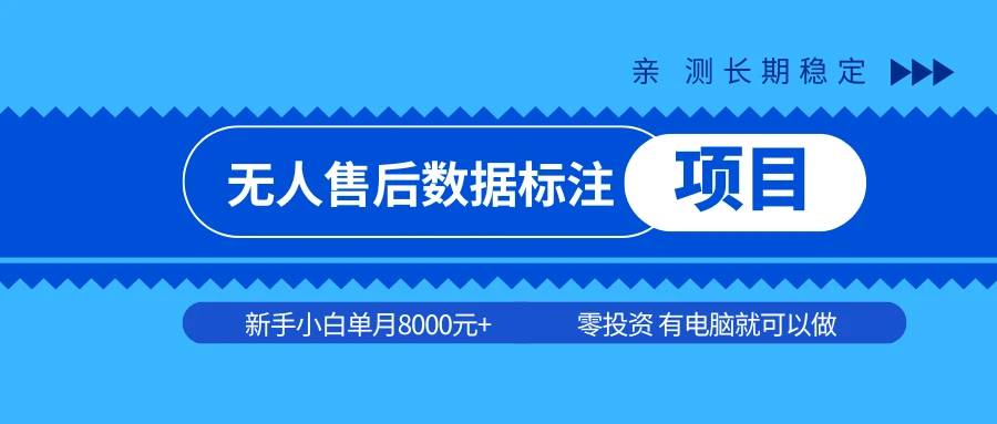 无人店数据标准项目,亲测一月稳定6000+,零投资,只要有台电脑就可以做