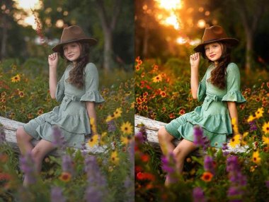 大师级GTG出品-老友记系列AI自适应预设The Friends Preset Collection