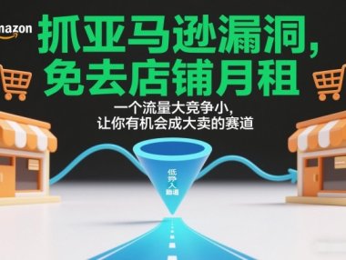 抓亚马逊漏洞，免去店铺月租，一个流量大竞争小，让你有机会成大卖的赛道
